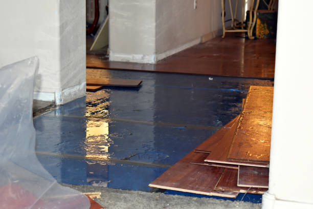 Professional Basement Flood Cleanup technician working in Collinston, UT